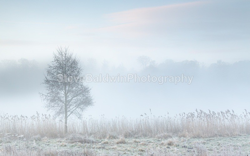 A Winters Morning:133E - Earth: Close to Home