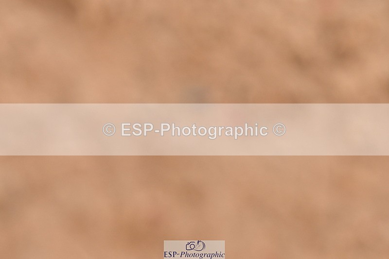 240121A-132223-00139 - Cls 10+11 Medium 69 and 75