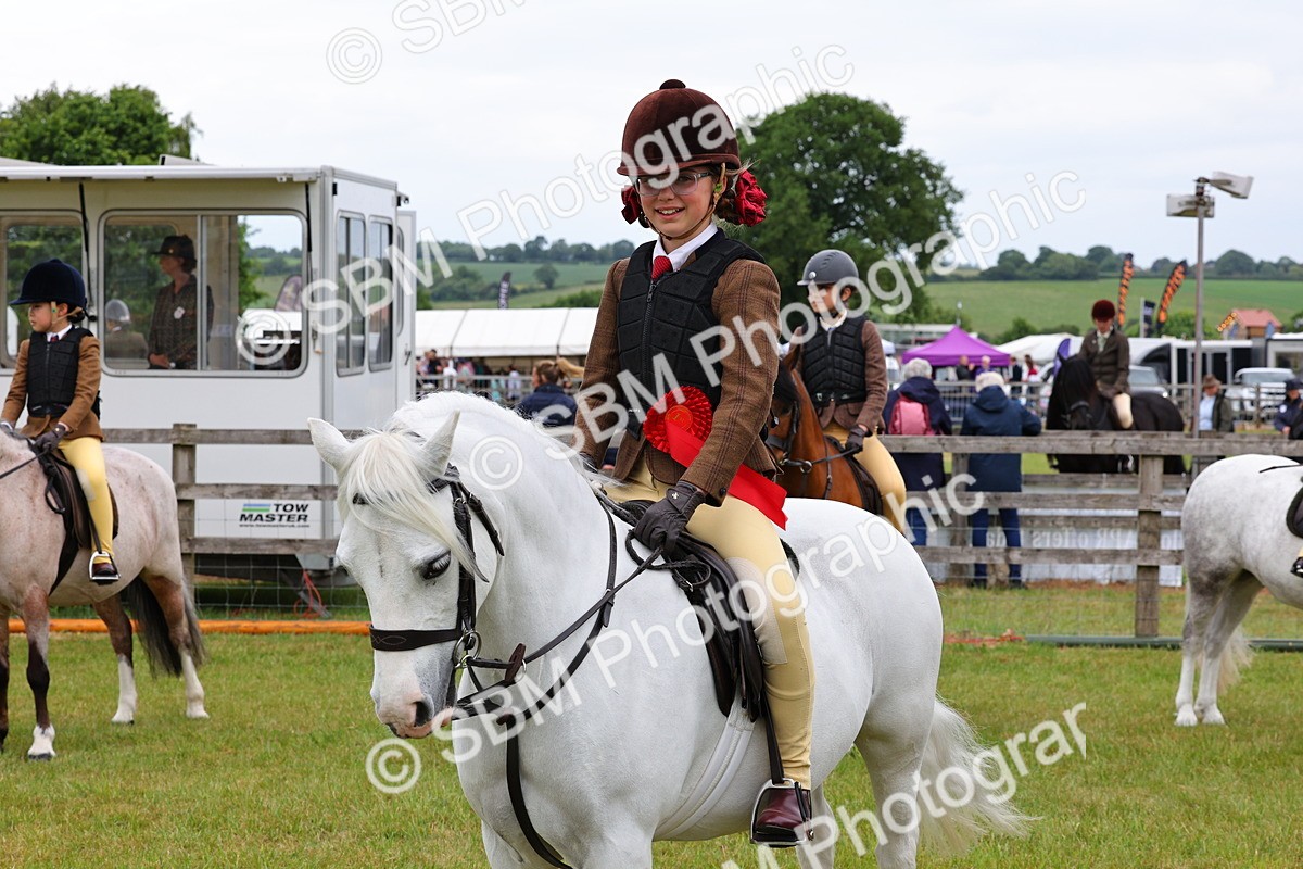 SBM_08851 - Class 42-43 - LIHS BSPS Heritage Working Sports Pony
