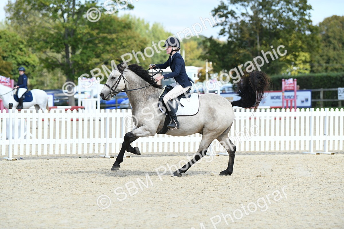 SBM_64732 - J48 - Pairs Jumping Open 70cm & 85cm