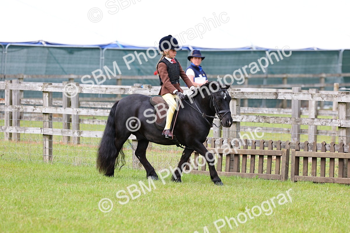 SBM_09444 - Class 44-45 - LIHS BSPS Open Nursery and Cradle Stakes