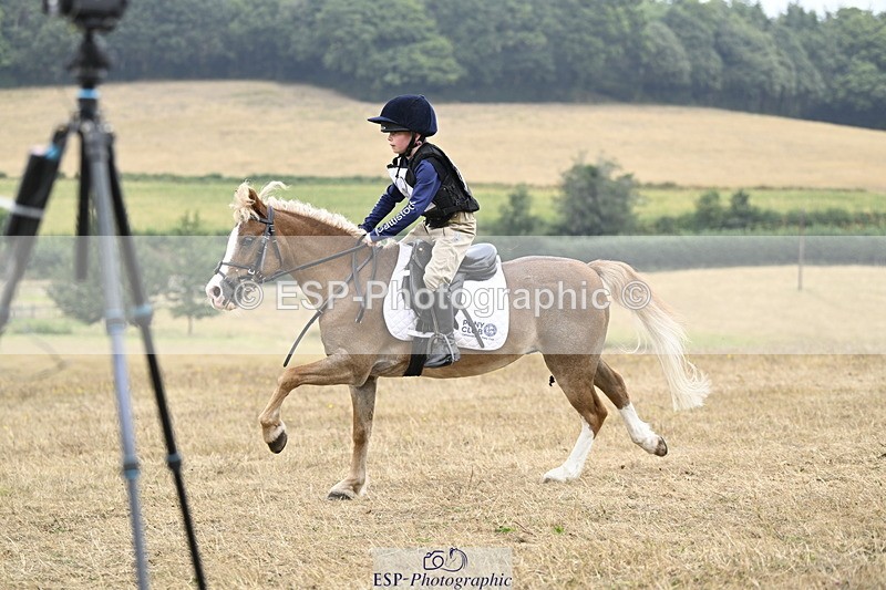 250824A-123122-36388 - 2028-Harry.Honeyball-Sardis.Cassius