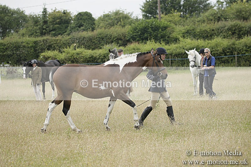 B230619-0396 - Bourne Valley Riding Club Summer Show 23/06/19