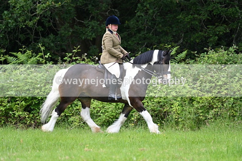 WJ7_2321 - Class 12A Coloured Class