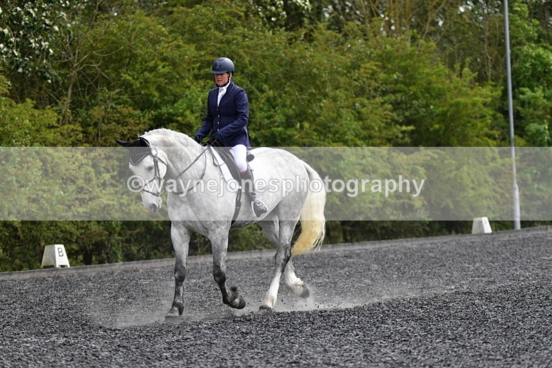 WJ5_1931 - Time 15:05 to 15:30