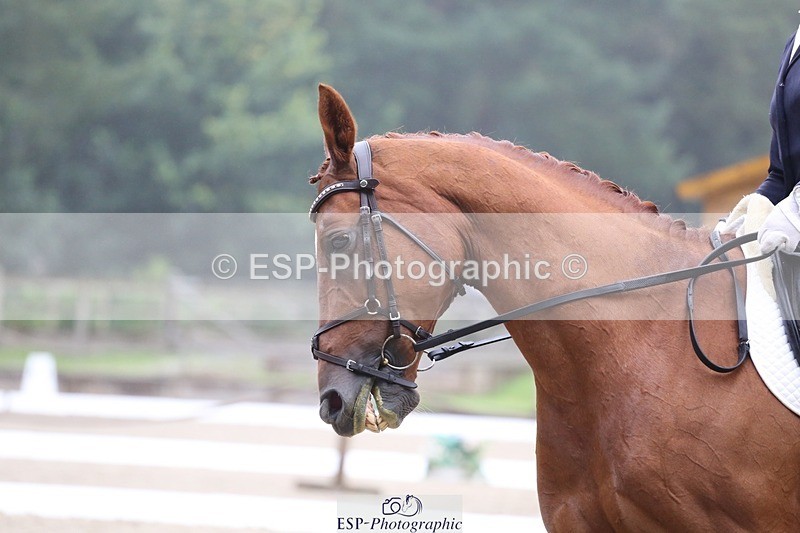 240720-130037-05196 - 186-Dani_Wills-Greathill_Sahara
