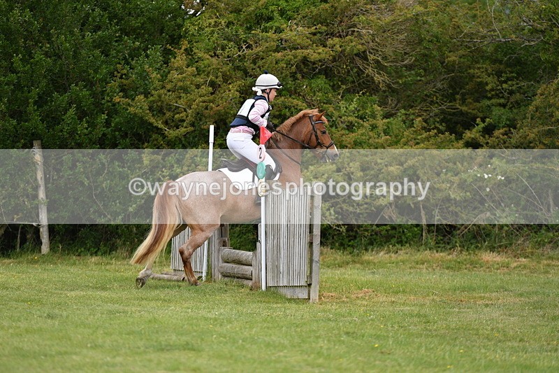 WJ5_2490 - Class 2 40cm