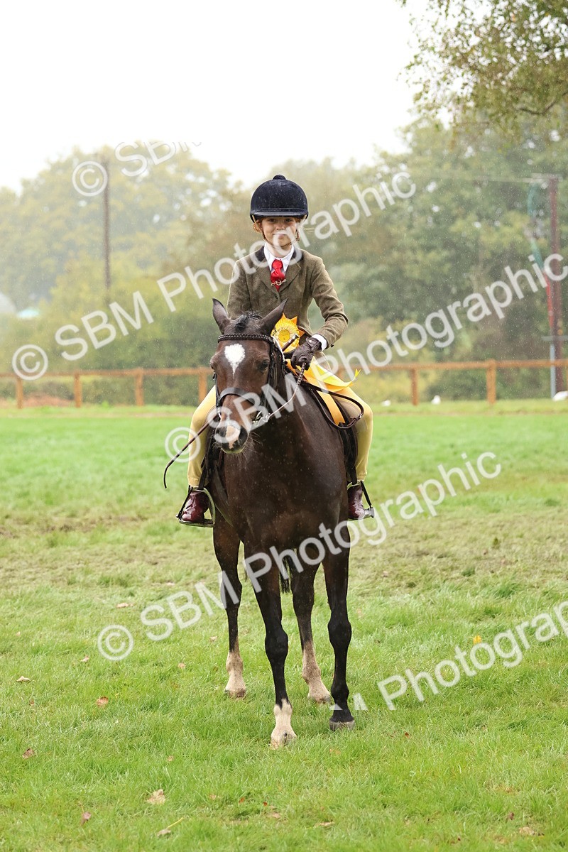 SBM_73085 - S63 Show Pony & Show Hunter Pony Ridden