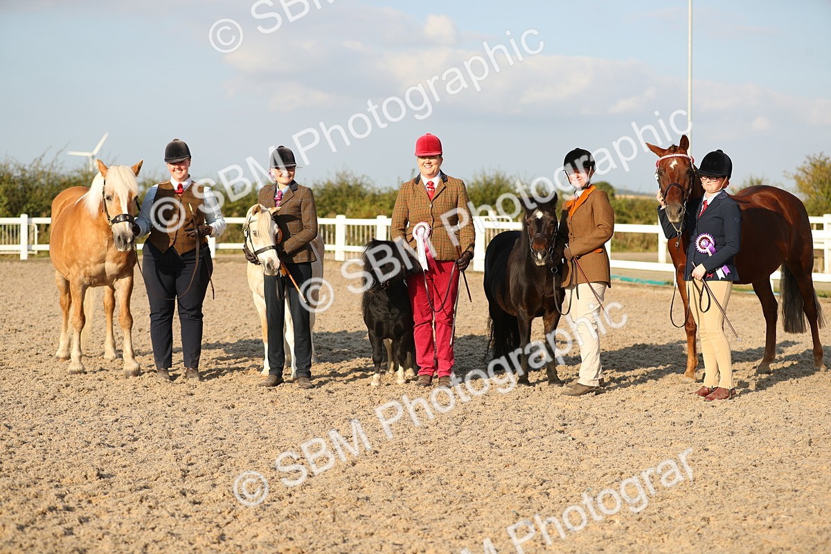 SBM_09162 - Class 29 IH Veteran Pony