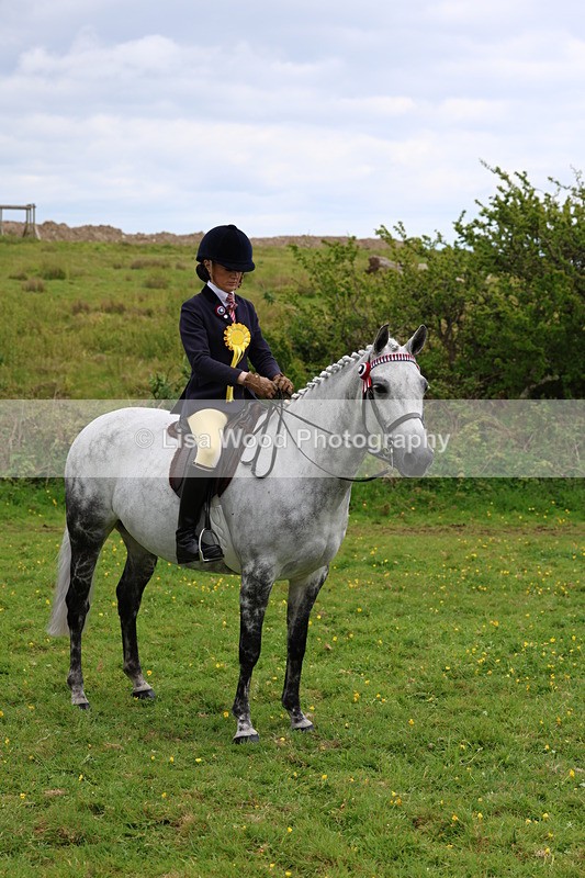 3E7A2146 - Class 11: Ridden Arab