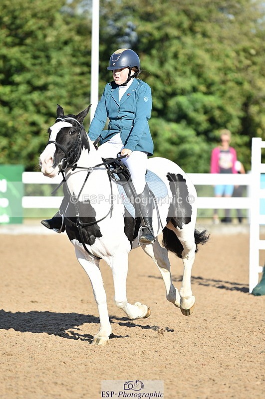 230903A-090422-03438 - Cls 17 Pony Intro 75cm