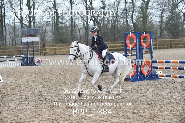 BPP_1384 - CLASS 5 Pony BritiNovice / 0.80m Open