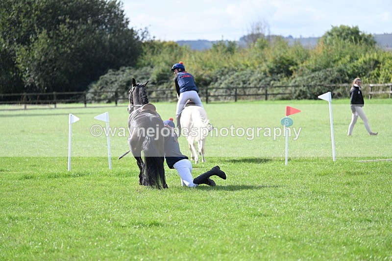 WJ7_8536 - 60cm Pairs