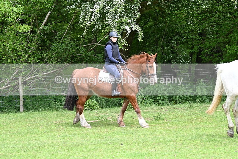 WJ7_2237 - Group 4 A&B Cameras