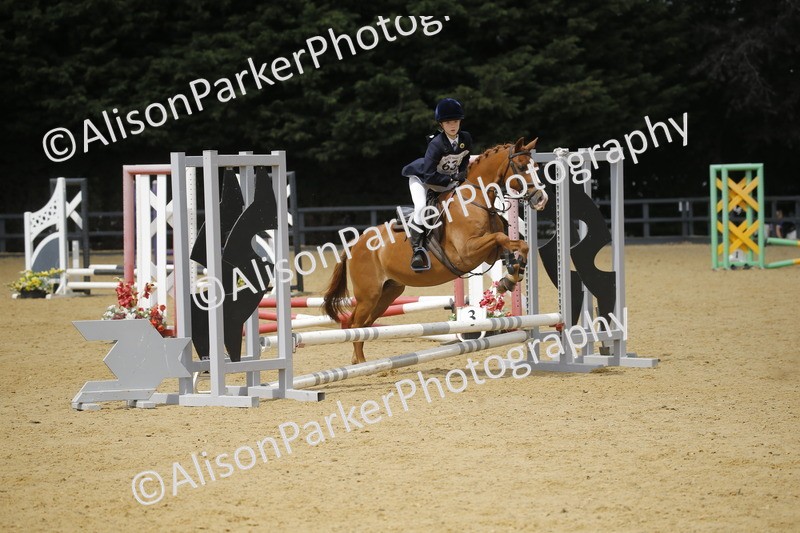 20250622-4009 - 50cm