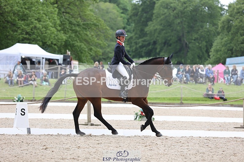 240524-120548-08519 - 274-JACK_OF_CLUBS-Rosalind_Canter