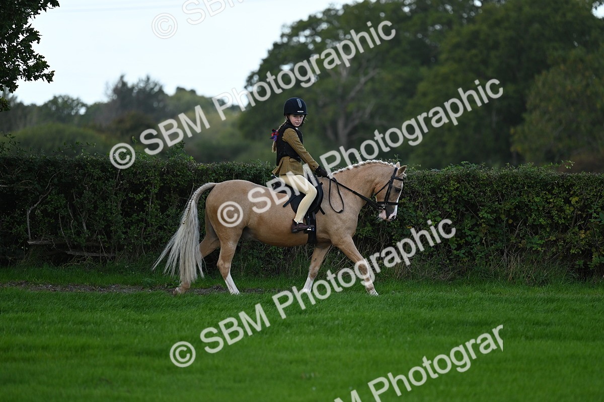 SBM_02545 - S3 - TSR Ridden Pony Showing