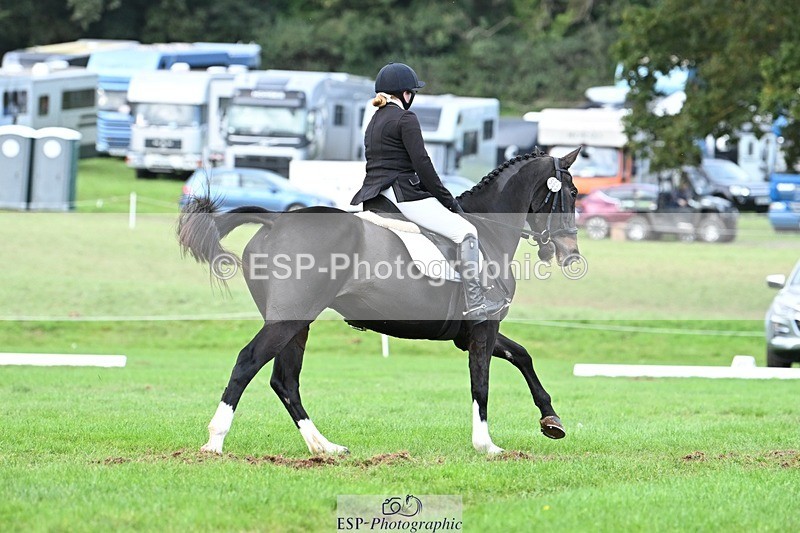 231020-163855-11783 - 565-LITTLE.M.II-Charlotte.Radley-DR