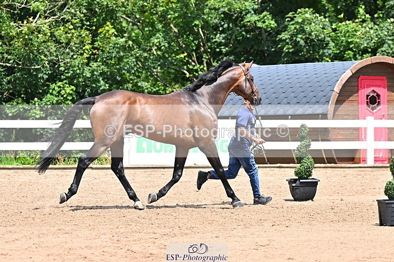 240718A-105307-01581 - Trot Up 1pm to 2pm