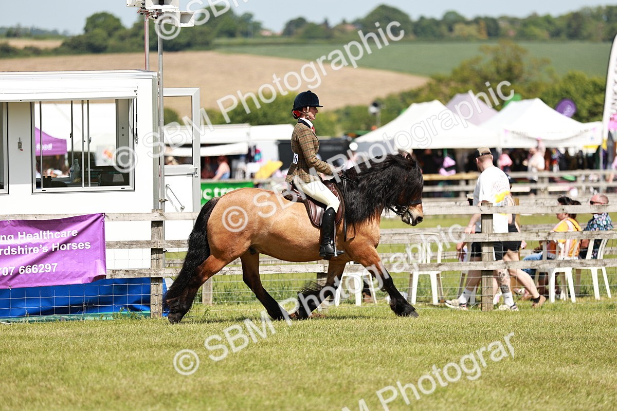 SBM_07109 - Class 26-30 - Mountain and Moorland Ridden