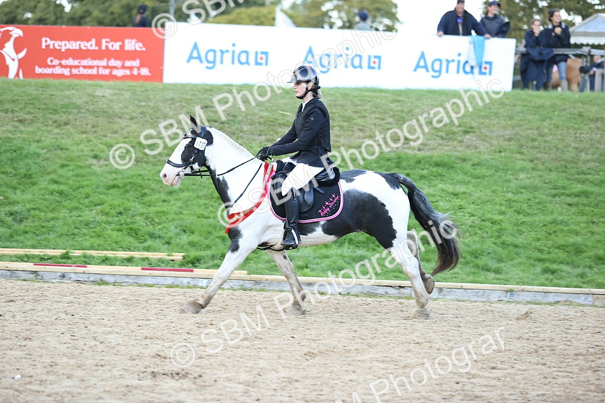 SBM_54459 - Supreme Championship 70cm 75cm