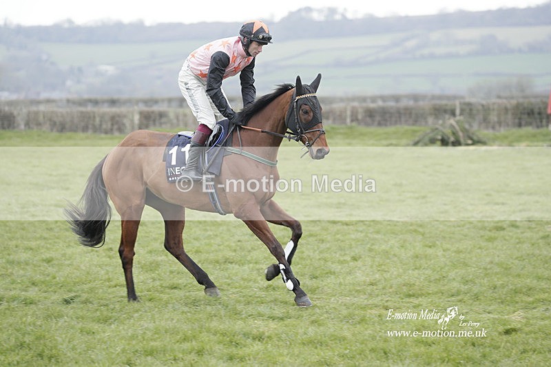 PtP 050323 825 - Blackmore & Sparkford Vale Hunt PtP - Somerset 05/03/23