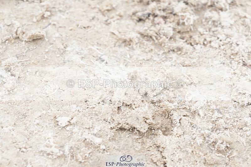 250420A-123446-00789 - Cls 03 80cm