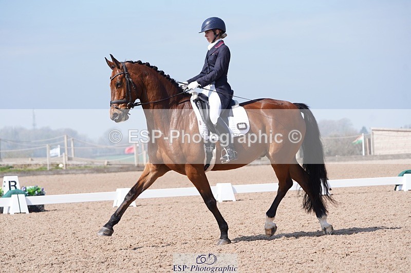 250404-122502-05648 - 028-Elizabeth.Allen-Heraldik