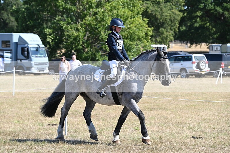 WJ6_8292 - Class 37a Best Loan Pony Ridden