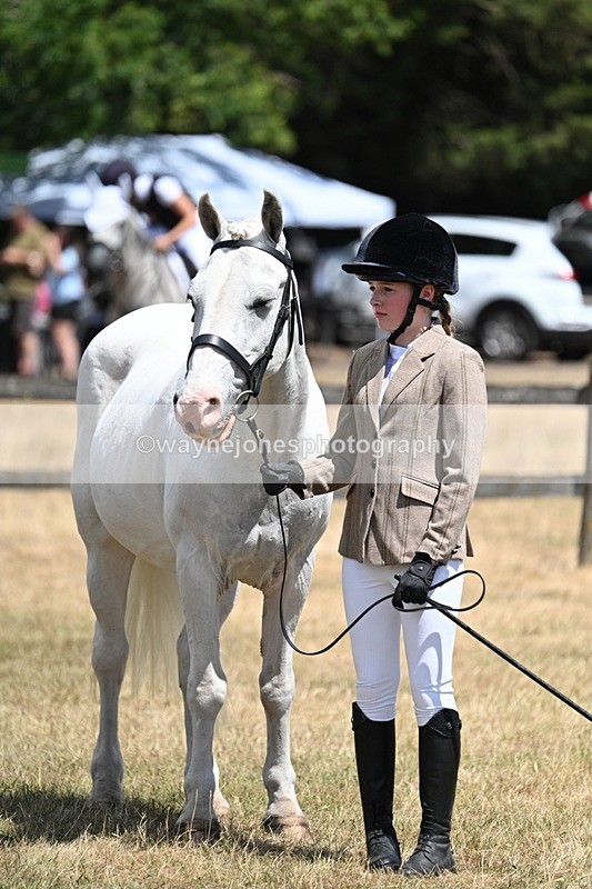 WJ7_2264 - Class 5 Most Handsome Gelding (up to 14.2hh) in hand