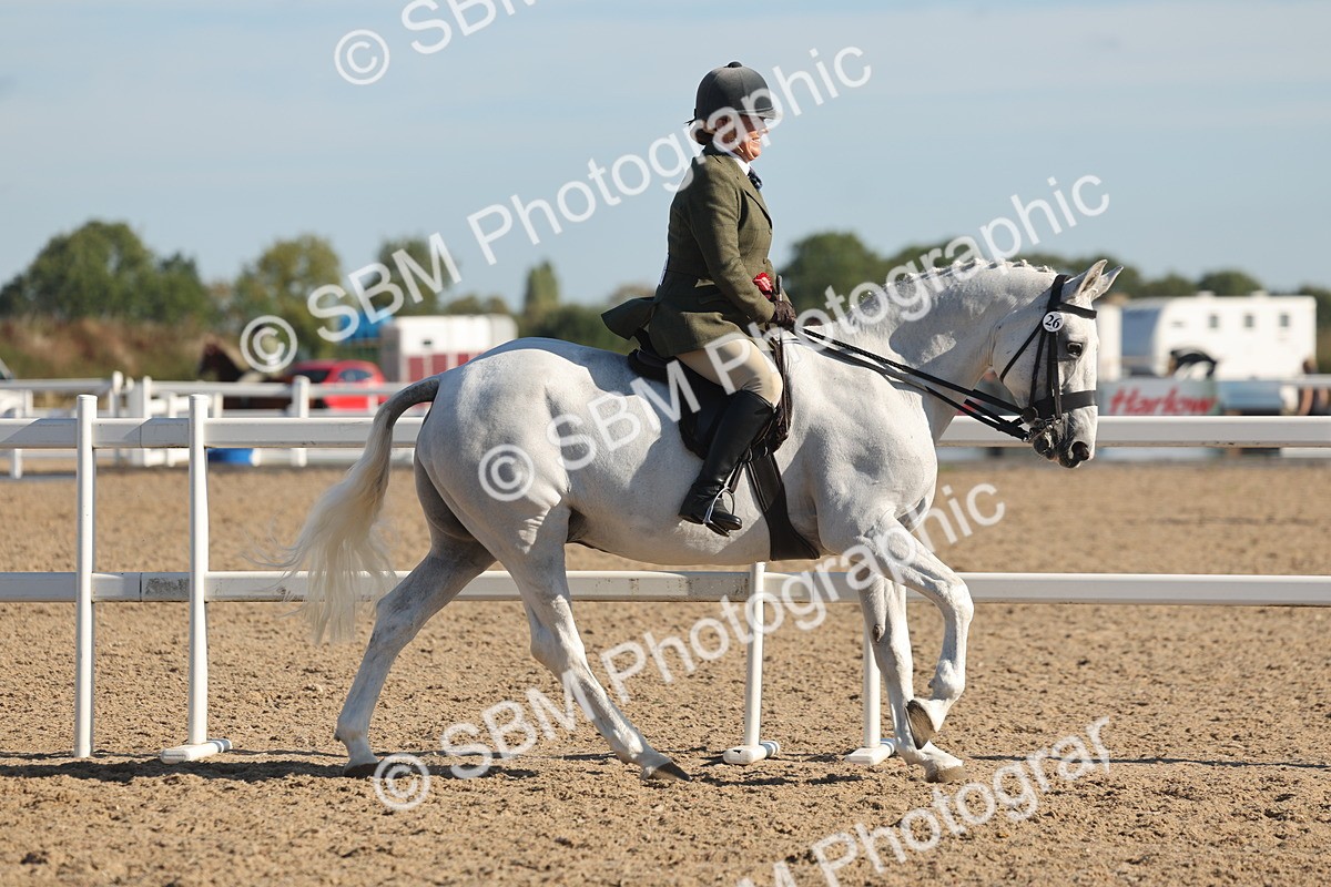 SBM_12265 - Class 303 - Ridden Pure Bred Horse Pony