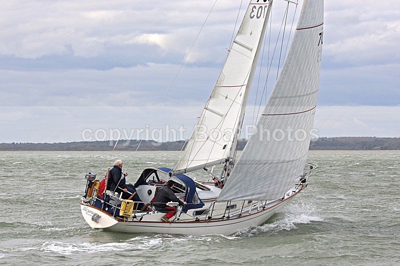 141025 ALCYONE WT7A8585 - 130421 ALCYONE GBR703
