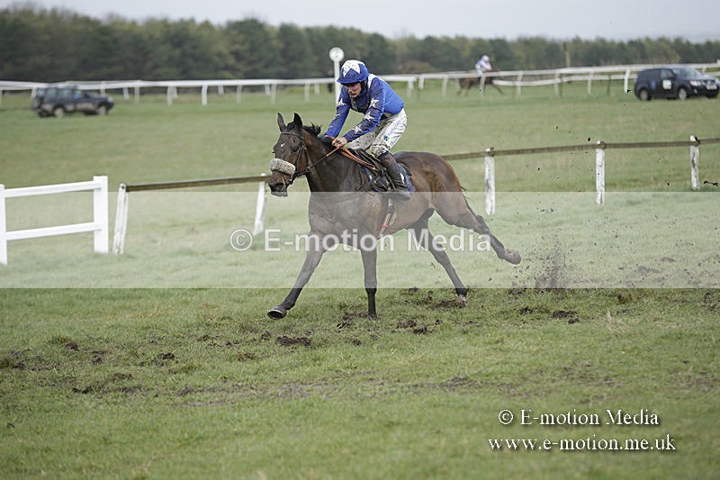 PtP 150320 0405 - New Forest Point-to-Point Larkhill 15/03/20