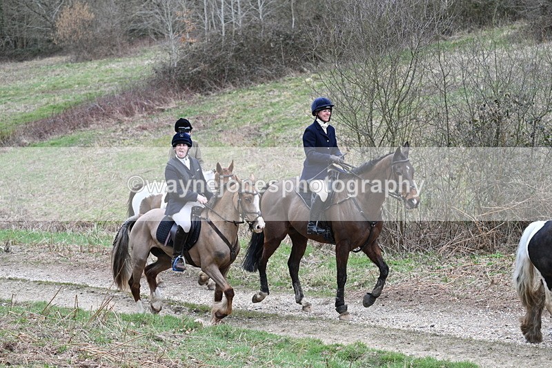 WJ7_7421 - Walk Home