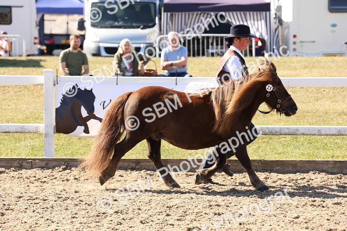 SBM_13918 - Class 205 - IH Show Pony - Show Hunter Pony