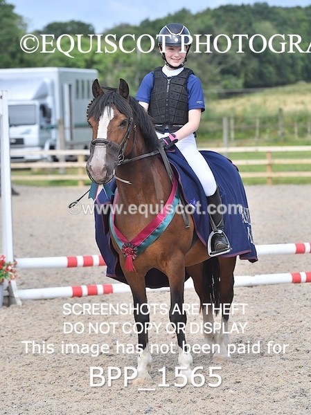 BPP_1565 - DERBY CLASS 3 - 40CM