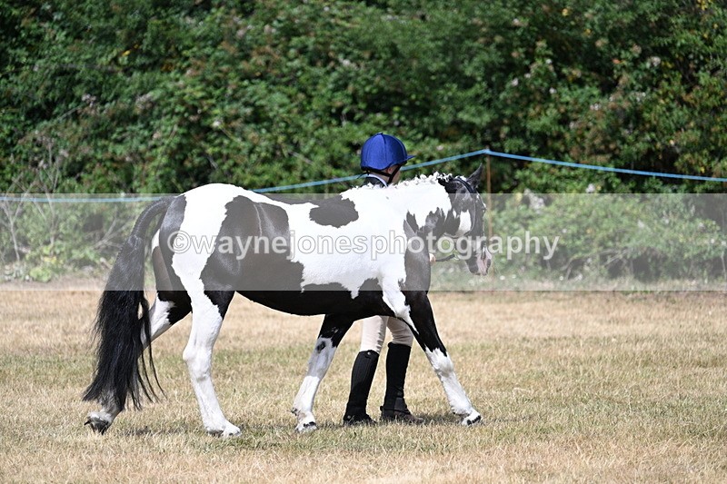 WJ7_1645 - Class 4 Prettiest Mare up to 14.2hh in hand