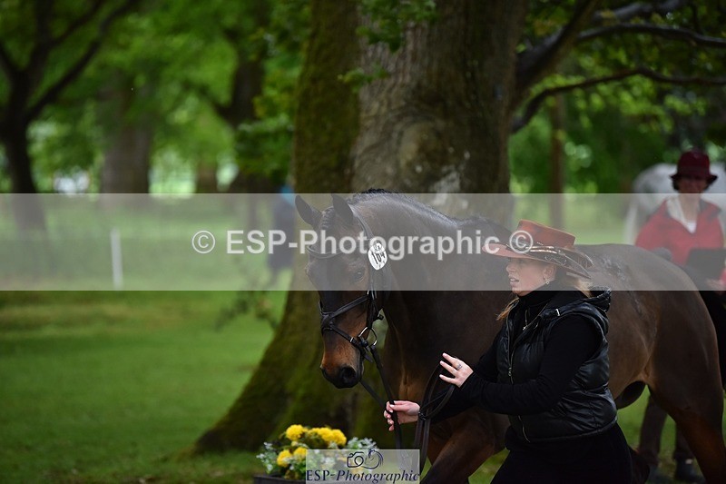 240522-155154-00537 - 164-MOONLIT_SWAYZE-Daisy_Bathe