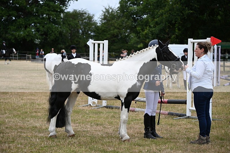 WJ6_4376 - Class 10 Coloured In-hand