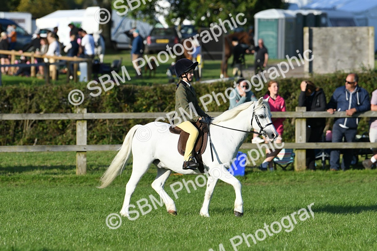 SBM_54102 - S23 - 1st Ridden Mountain & Moorland Pony