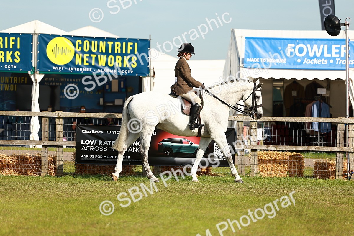SBM_10863 - Class 66-69 - RIHS Ridden Hunters Inc Small Hunter