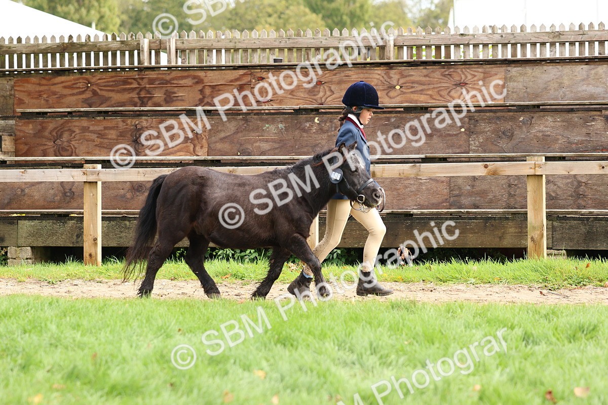SBM_40720 - S25 -  Veteran In Hand