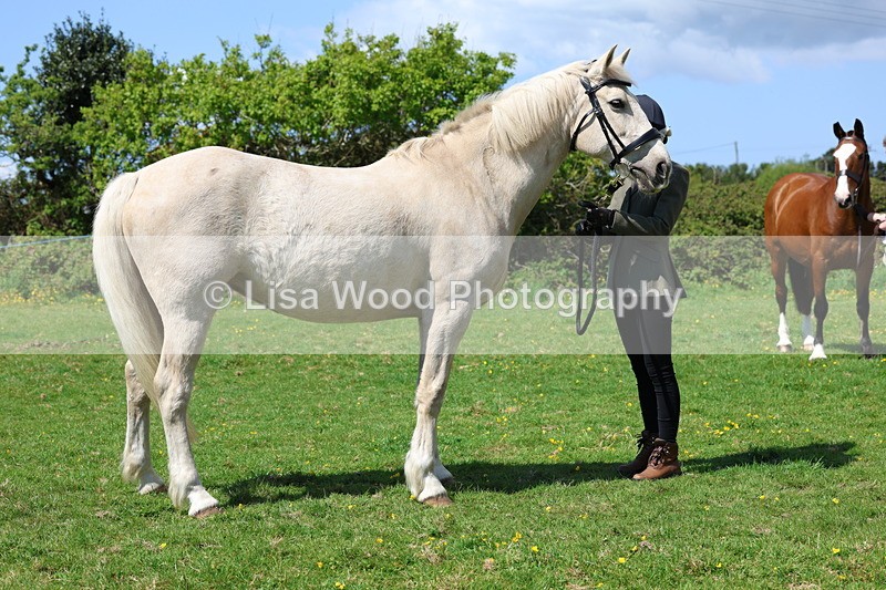 3E7A0345 - Class 19: Best Coloured in Hand