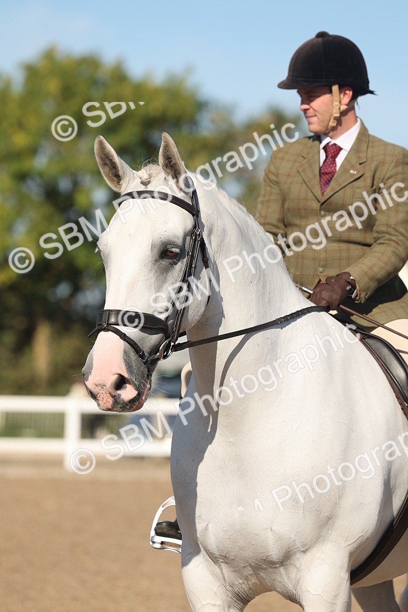 SBM_12239 - Class 303 - Ridden Pure Bred Horse Pony