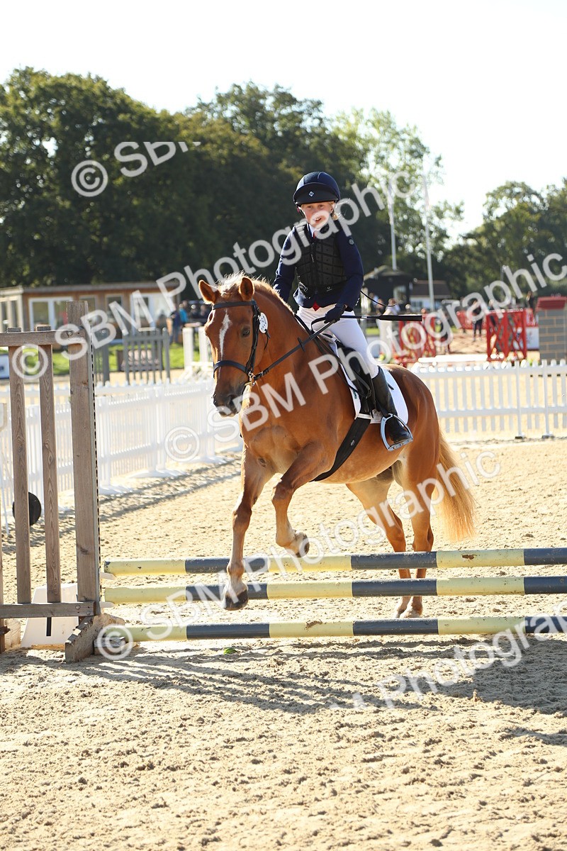 SBM_36000 - J5 - Junior Pony 50cm Championship