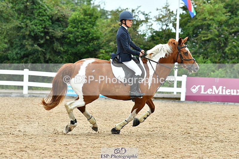 230730A-095732-08398 - Cls 31 British Novice & 90cm Open