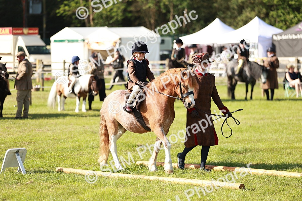 SBM_11192 - Class 106-107 - BSPS LIHS Working Sports Pony