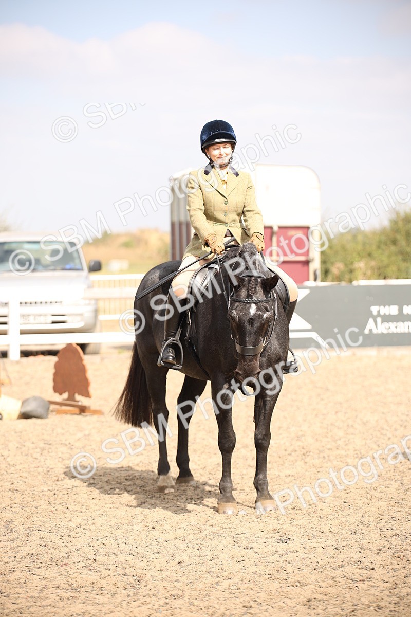 SBM_14365 - Class 407b - Working Veteran 60cm (20+)