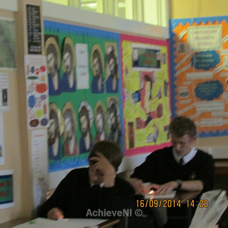  - Peer Mentoring 2014