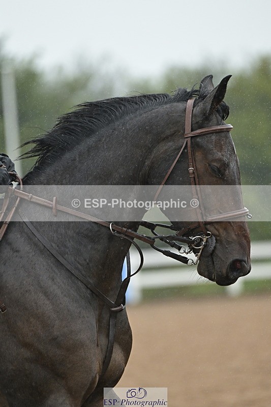240925A-141624-01099 - Cls 5 Foxhunter and 1.20m Open